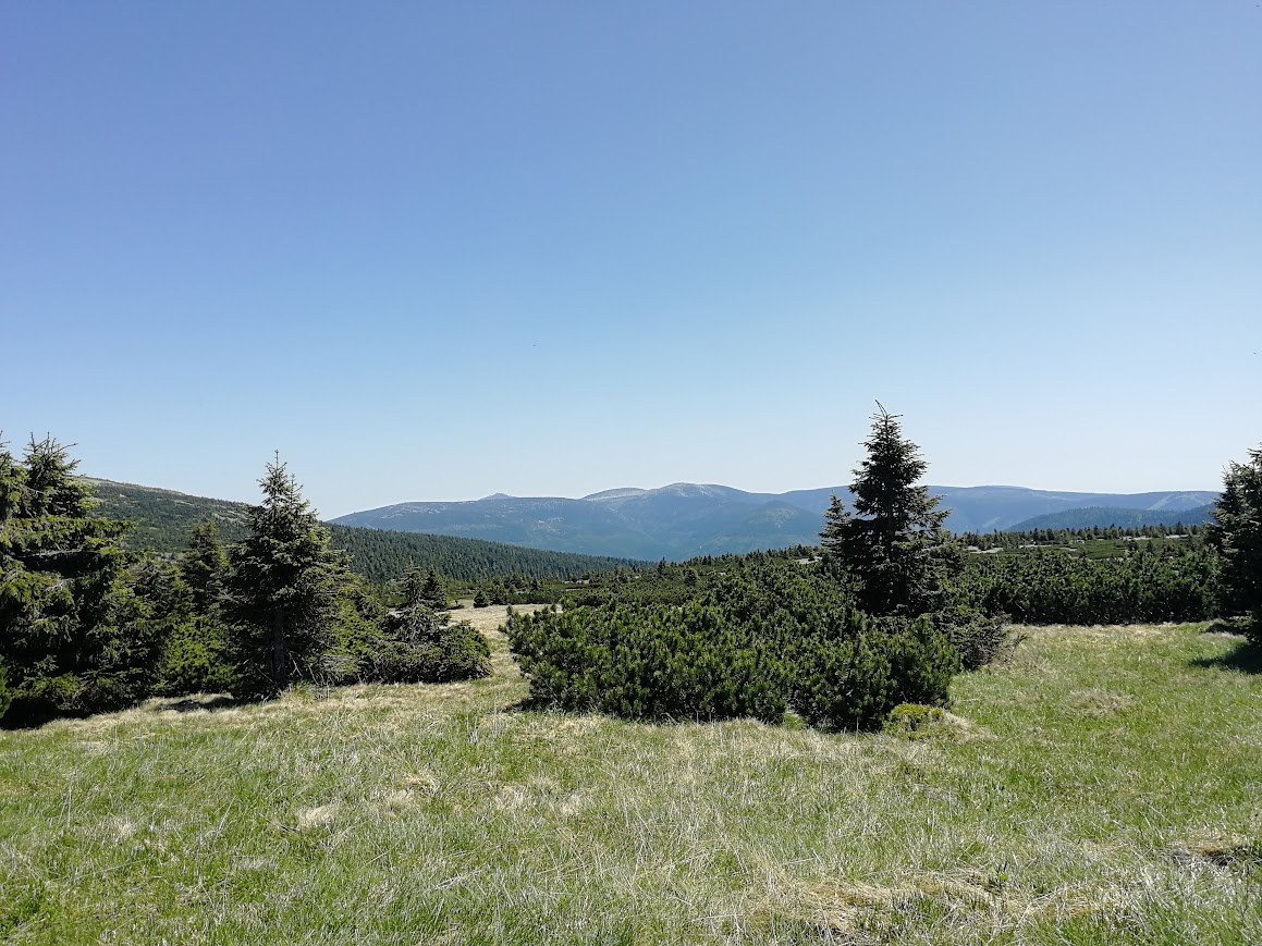 Ideálním místem kam utéct před letním horkem je Krkonošský národní park