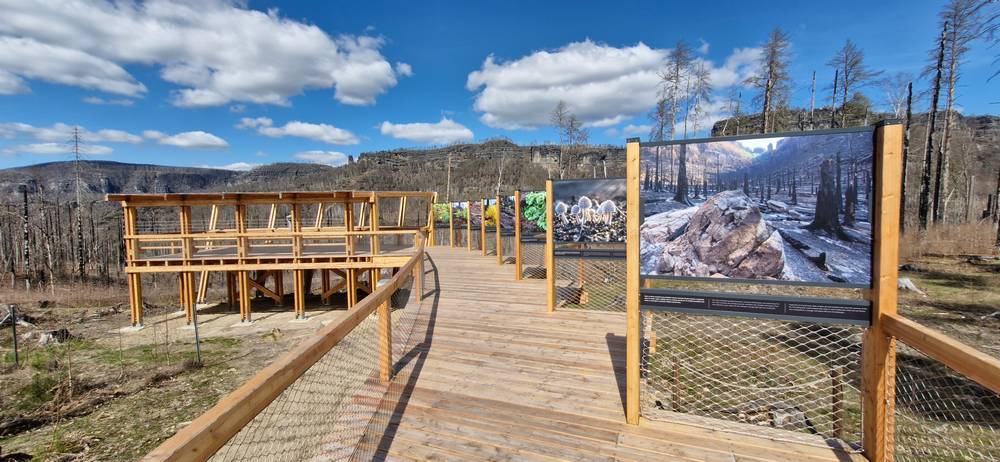 Zprávy z NP - Vyhlídková plošina u Mlýnské cesty se otevírá veřejnosti