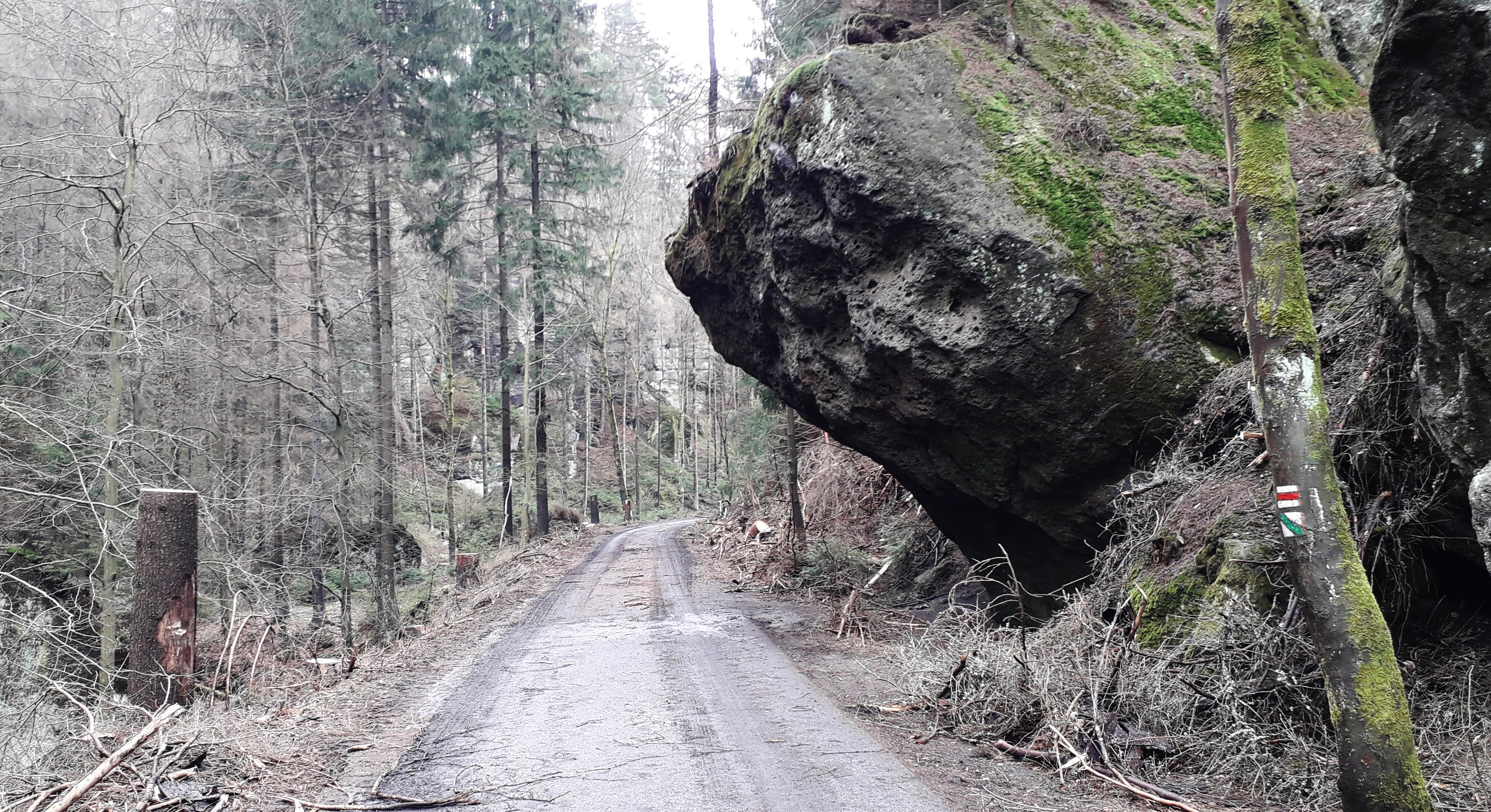 Přístupy na vyhlídky i bezpečnostní těžby: Jaké práce národní park čekají během dubna?