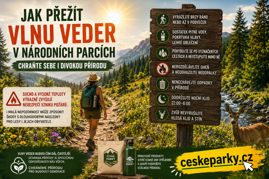 Jak přežít vlnu veder v národních parcích: Chraňte sebe i divokou přírodu