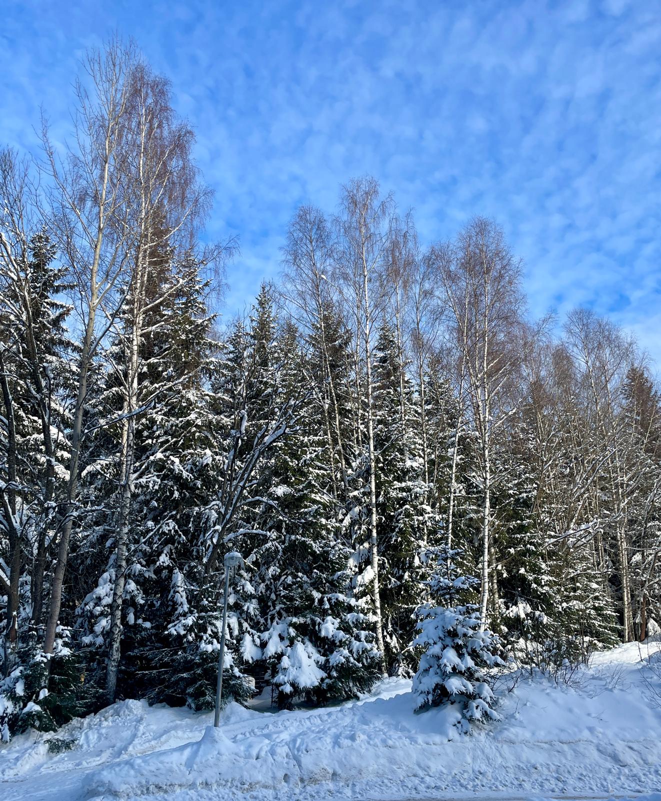 Akce v NP - výstava, přednáška a oslava