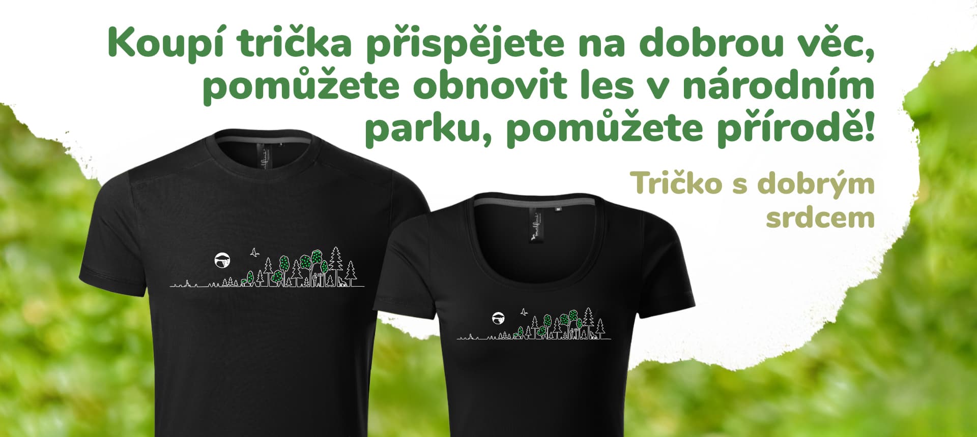 tričko obnova lesa