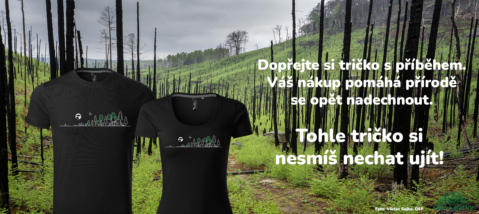 tričko obnova lesa