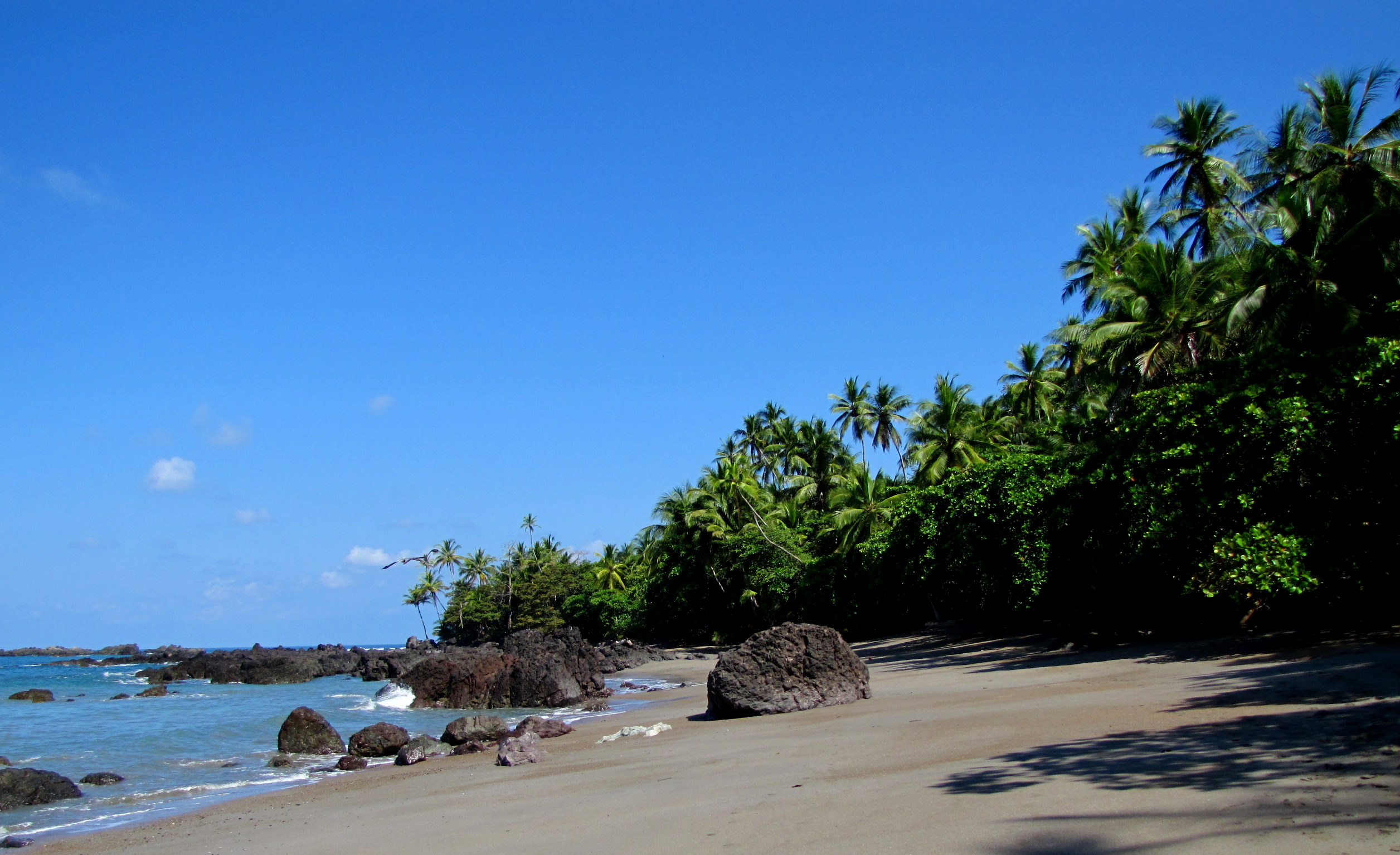 Parque_Nacional_Corcovado