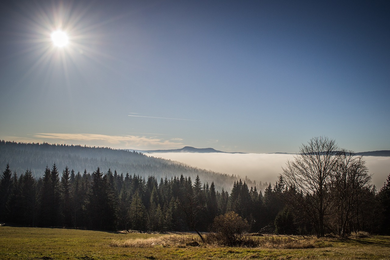 inversion-3246714_1280