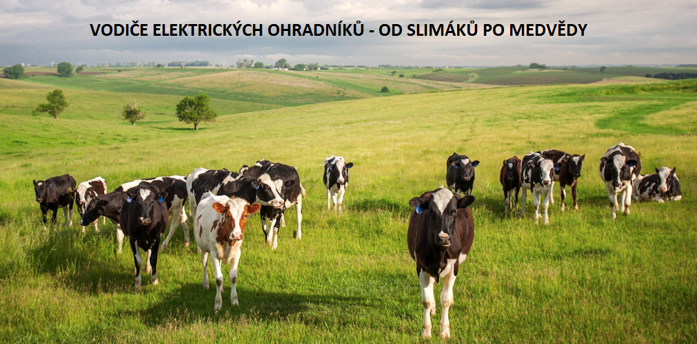 krávy ohradníky