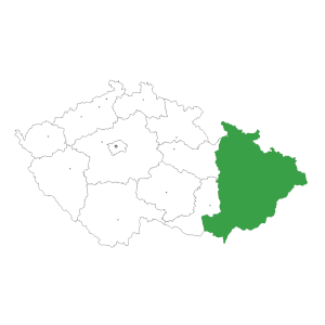 Montáž plotů morava