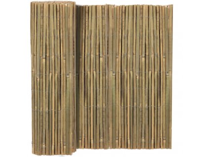 STINICI bambus 2 z1