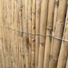 Bambusový plot 3