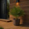 FURU ROUND LOW ECO HNEDA (2)