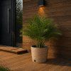 FURU ROUND LOW ECO PRIRODNI (2)
