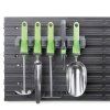 CP007539 1