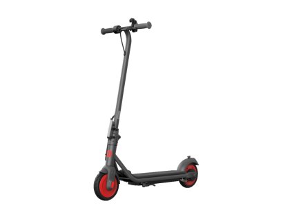 SEGWAY Ninebot eKickScooter Zing C20