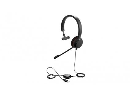 Jabra Evolve 20/Mono/USB/Drát/Černá