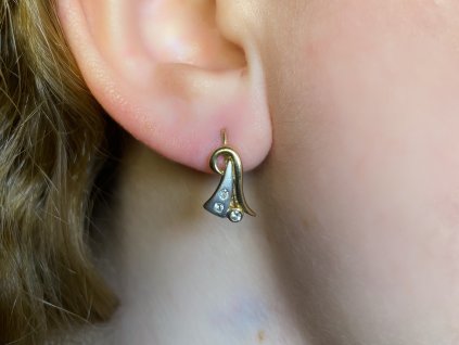 Zlaté náušnice se zirkony 2000220640008