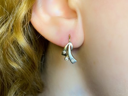 Zlaté náušnice se zirkony 2000219670009