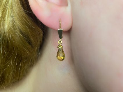 Zlaté náušnice se zirkony 2000219390006