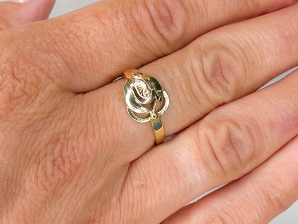 Zlatý prsten 2000271820008