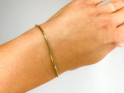 Zlatý náramek 2000222740003