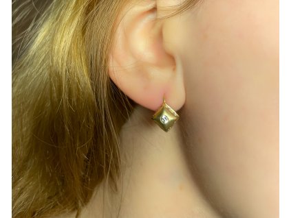 Zlaté náušnice se zirkony 2000219030001