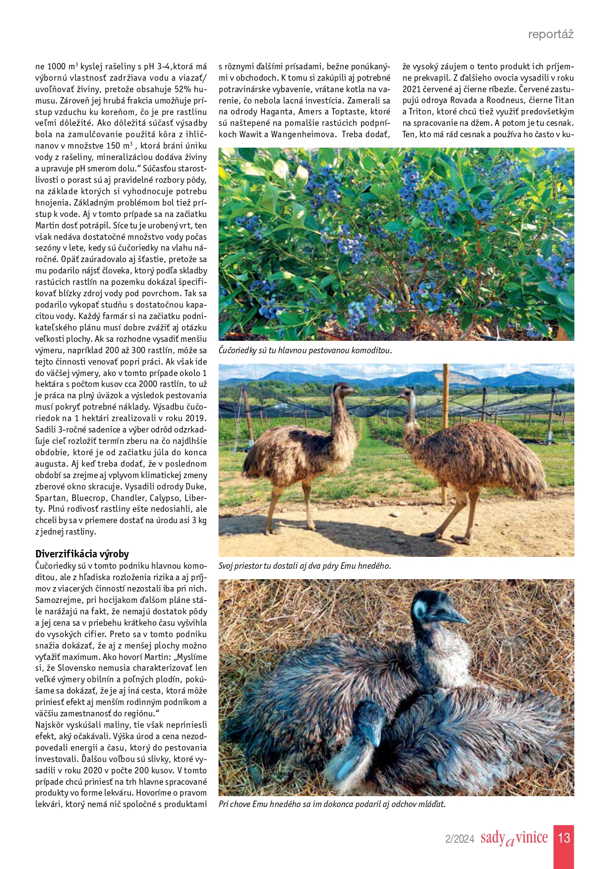 12-14-reportaz_page-0002