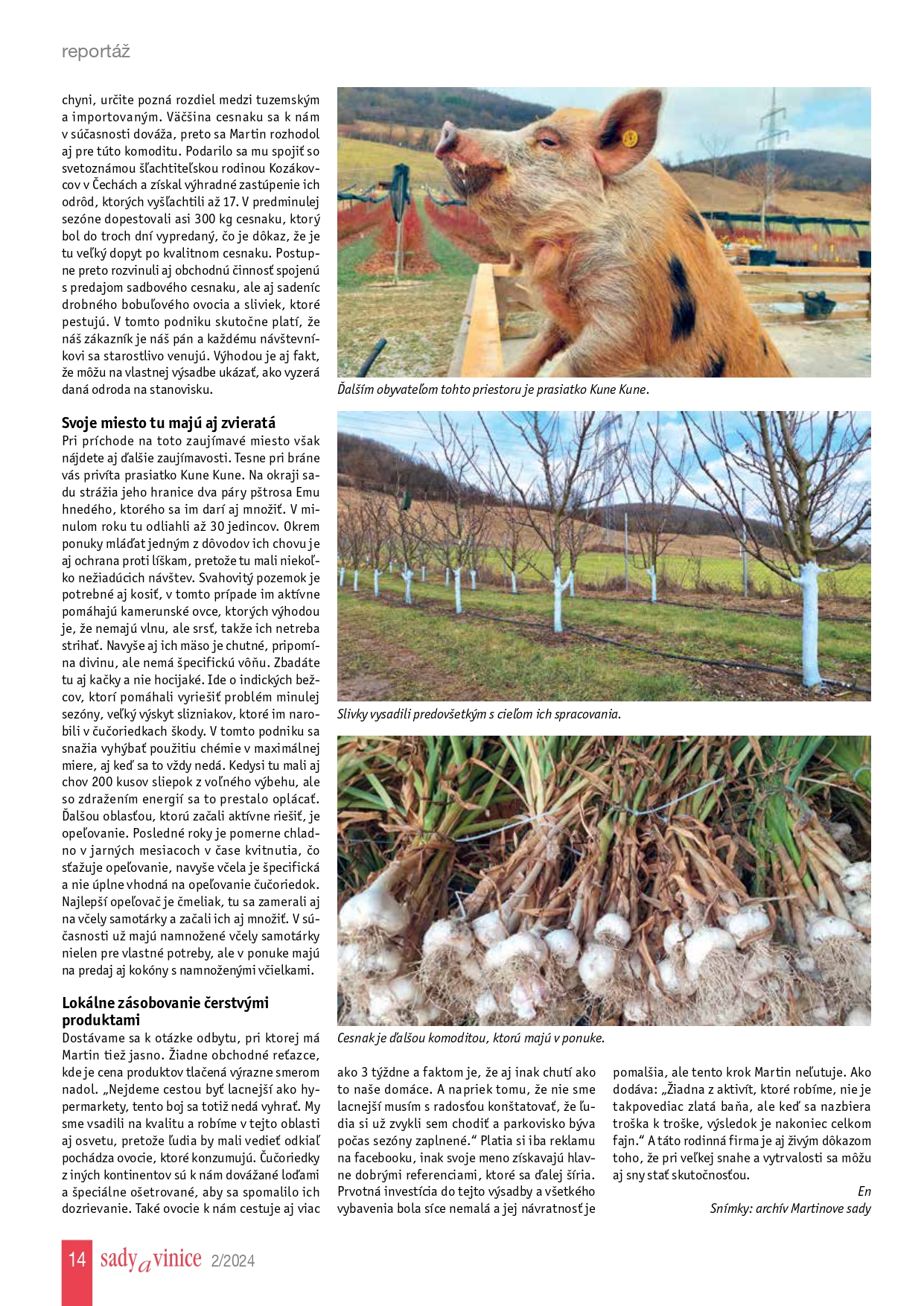 12-14-reportaz_page-0003