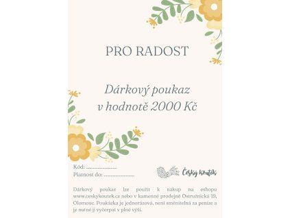 Dárkový poukaz pro děti Pro radost 2000 Kč