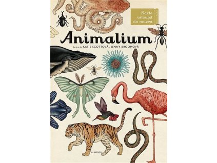 Animalium