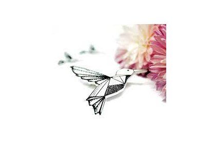 Kokino Brož kolibřík