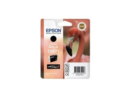 2751 epson ink cer stylus photo plamenak r1900 photo plamenak