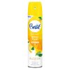 11169 osvezovac vzduchu brait lemon 300 ml