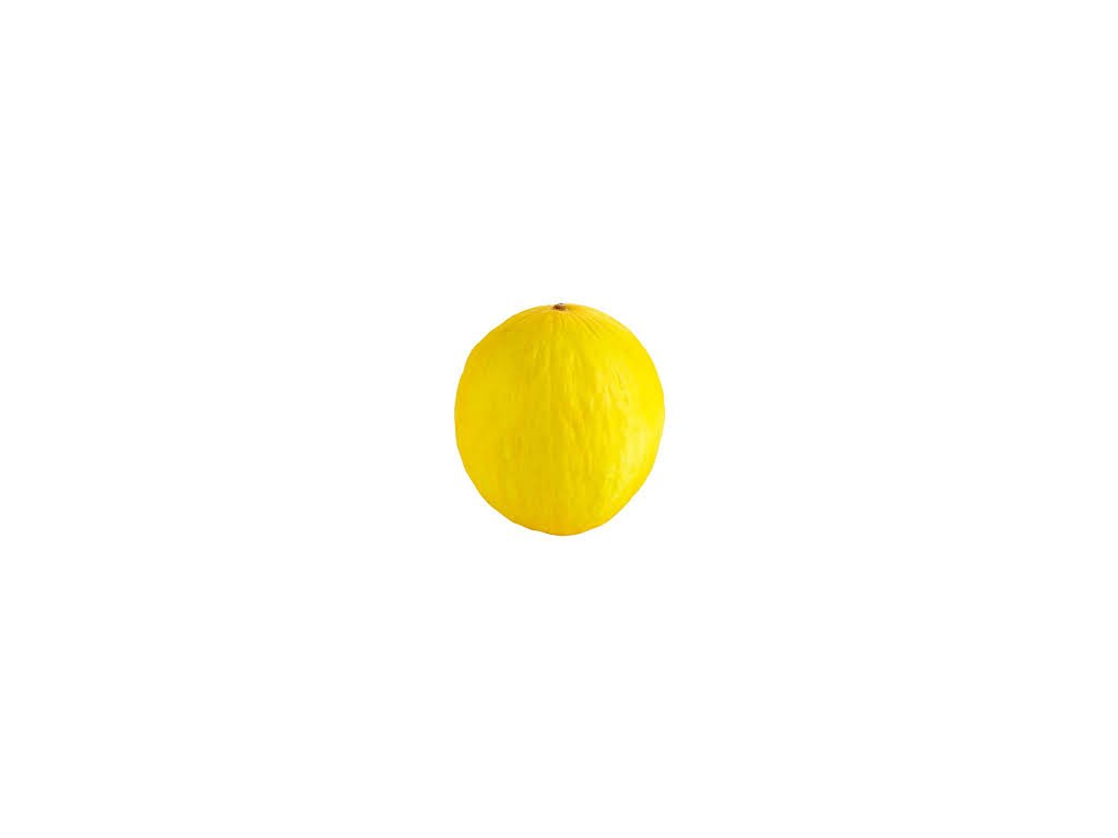 meloun žlutý