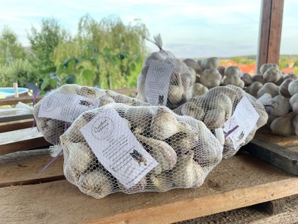 006E3A09 F295 4F66 A6E0 A19A72CF58AE