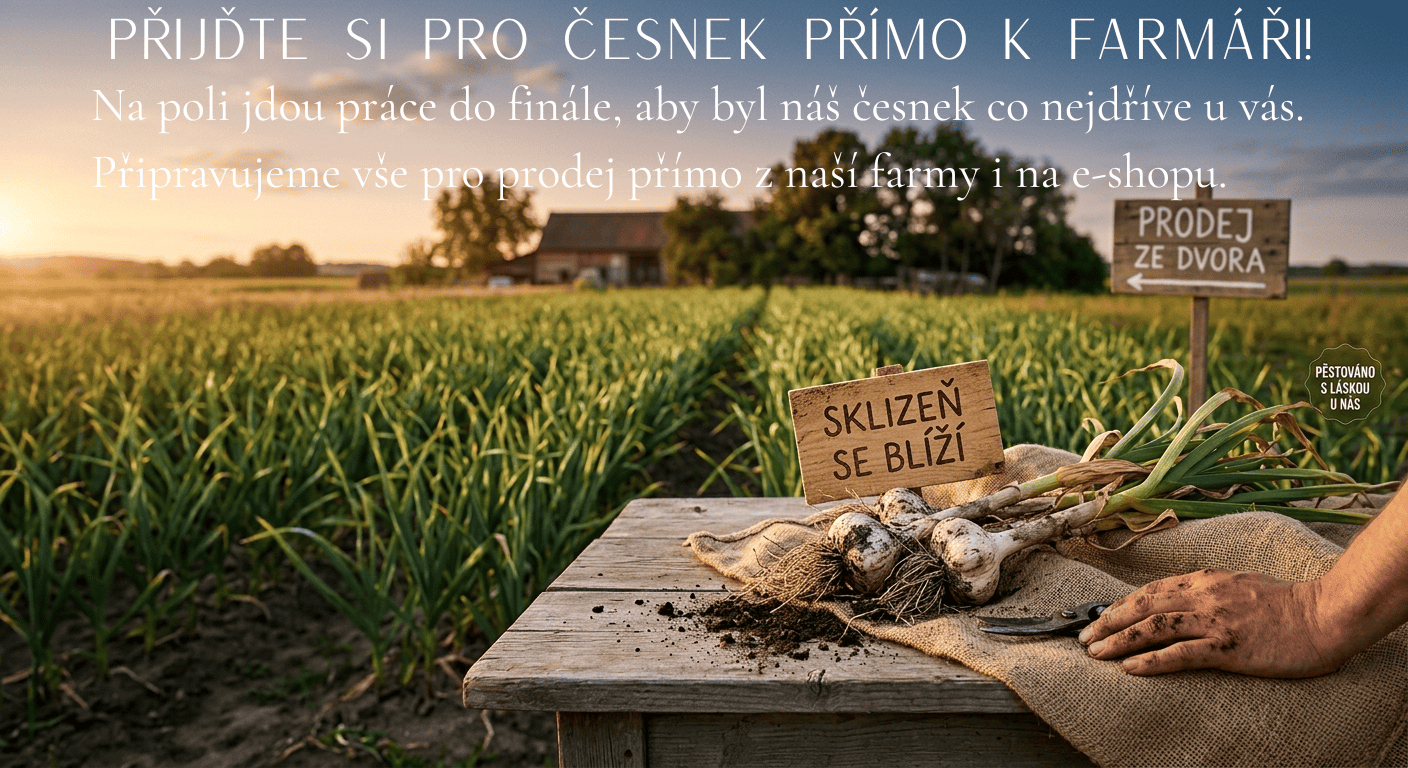pripravujeme