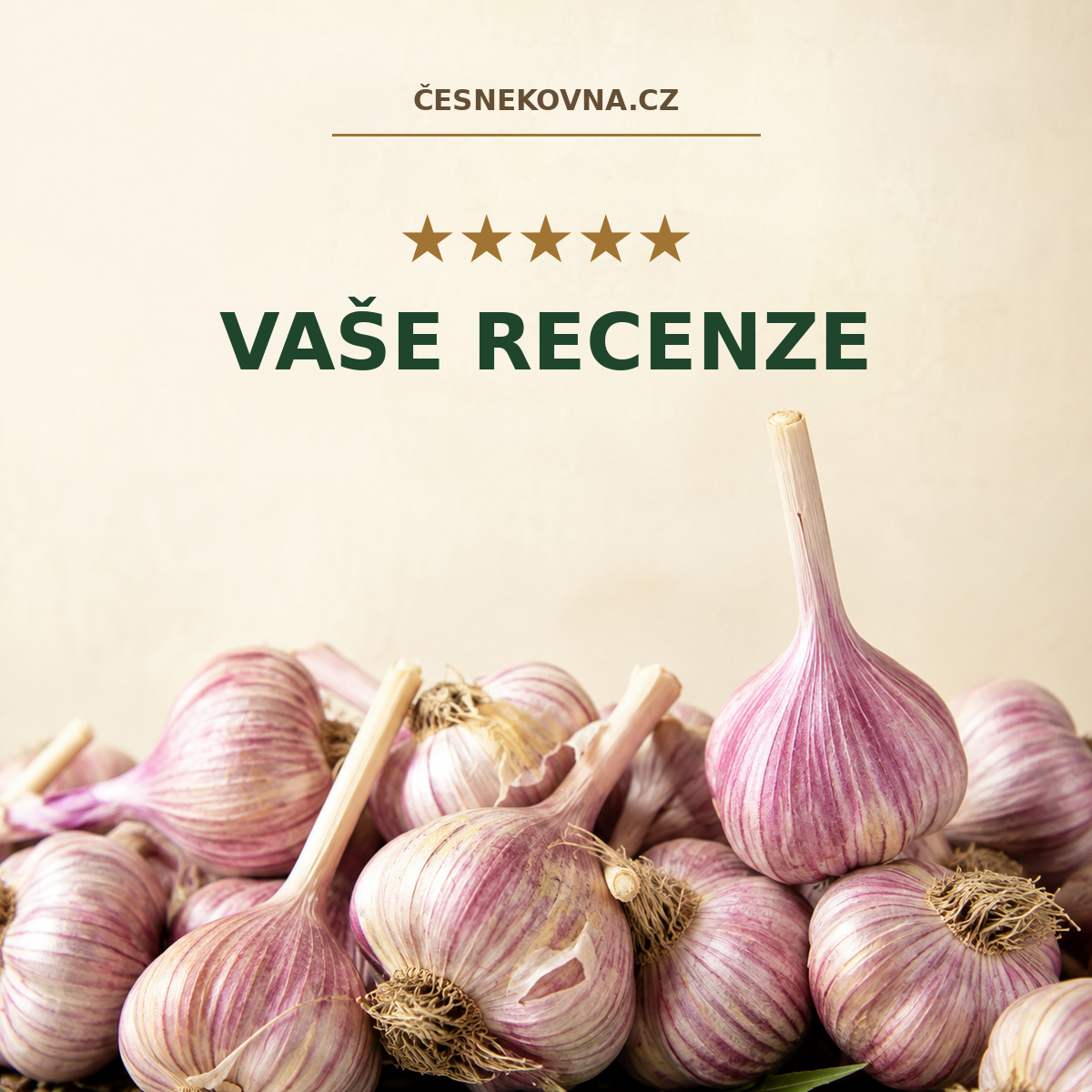 recenze česnekovny