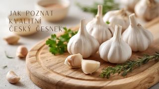 Chcete opravdu čerstvý a kvalitní český česnek? Nepřekračujte kompromisy! Vyberte si ten nejlepší přímo od českých farmářů...
