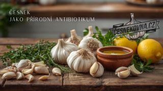 Chcete posílit imunitu a chránit své zdraví přírodní cestou? Český česnek je přírodní antibiotikum, které pomáhá tělu...