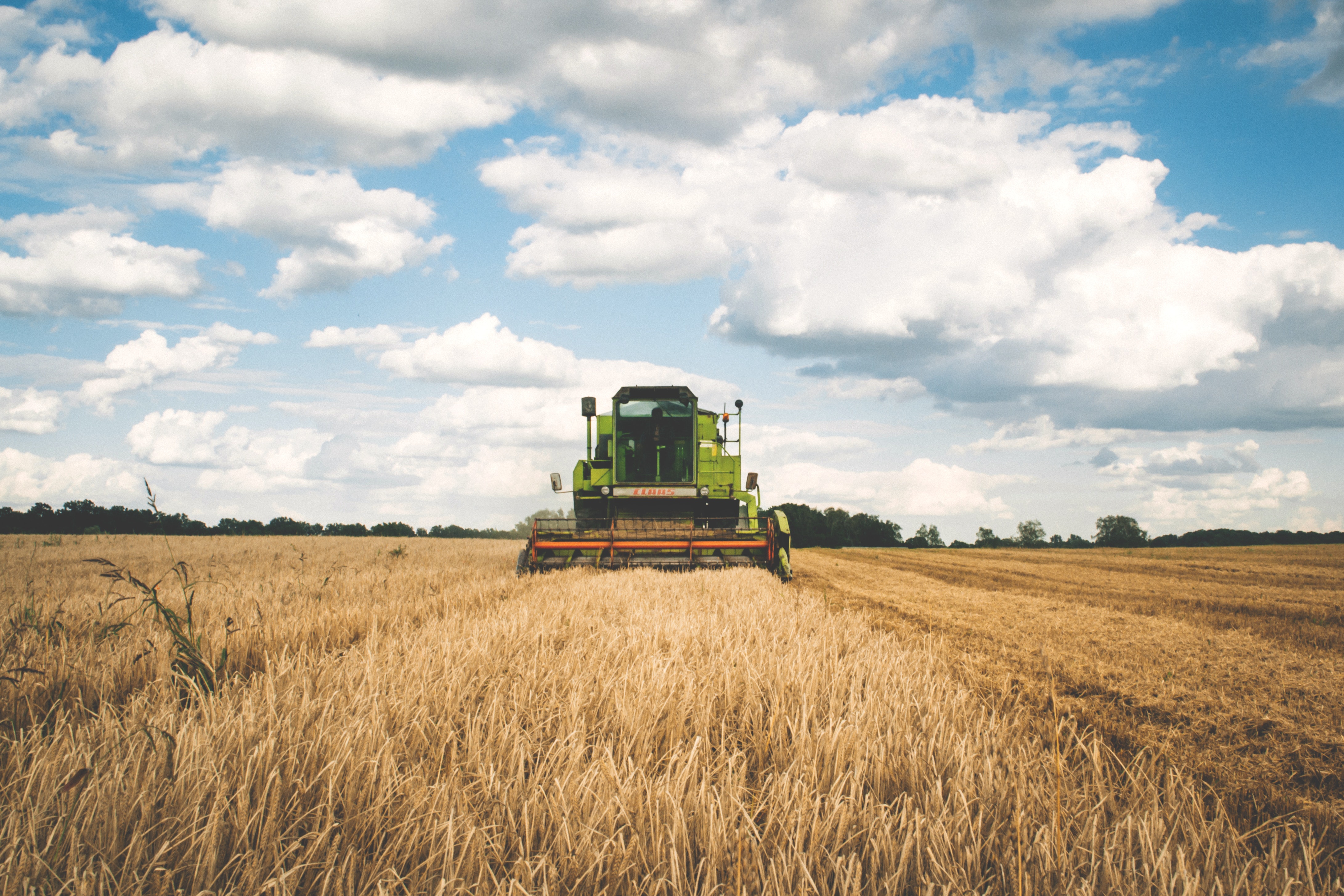 green-tractor-175389