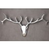 Dekorační parohy - Jelen