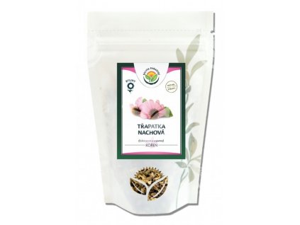 Echinacea třapatka kořen 100 g Salvia Paradise