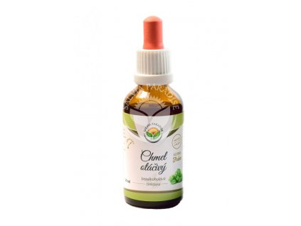 Chmel otáčivý AF tinktura 50 ml Salvia Paradise