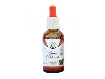 Guduchi chebule srdčitá AF tinktura 50 ml Salvia Paradise