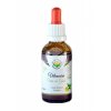 Vilcacora Uňa de Gato AF tinktura 50ml Salvia Paradise