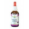 Ostropestřec mariánský AF tinktura 50ml