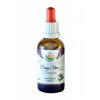 Dangšen AF tinktura 50ml Salvia Paradise
