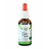Gotu kola AF tinktura 50 ml Salvia Paradise