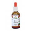Guduchi chebule srdčitá AF tinktura 50 ml Salvia Paradise