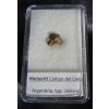 Meteorit Campo del Cielo krabička 0,6 g