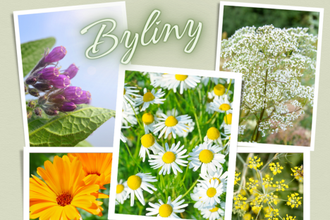 Není na světě bylina, aby na něco nebyla I.