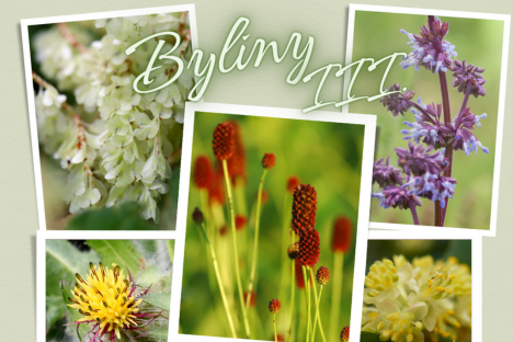 Není na světě bylina, aby na něco nebyla III